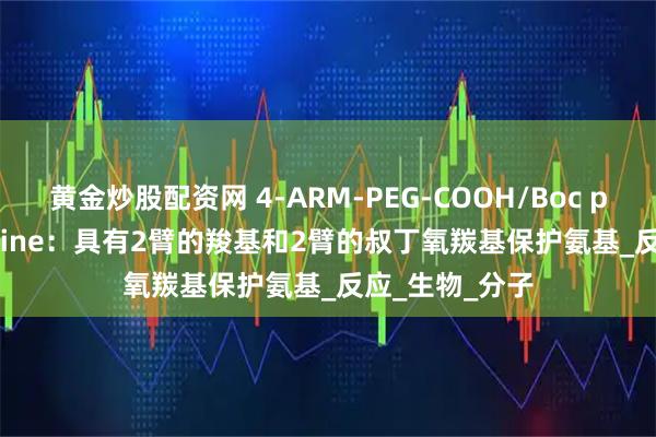 黄金炒股配资网 4-ARM-PEG-COOH/Boc protected Amine：具有2臂的羧基和2臂的叔丁氧羰基保护氨基_反应_生物_分子