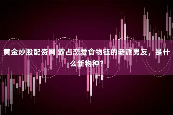 黄金炒股配资网 霸占恋爱食物链的老派男友，是什么新物种？