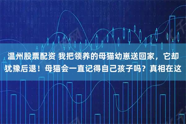 温州股票配资 我把领养的母猫幼崽送回家，它却犹豫后退！母猫会一直记得自己孩子吗？真相在这